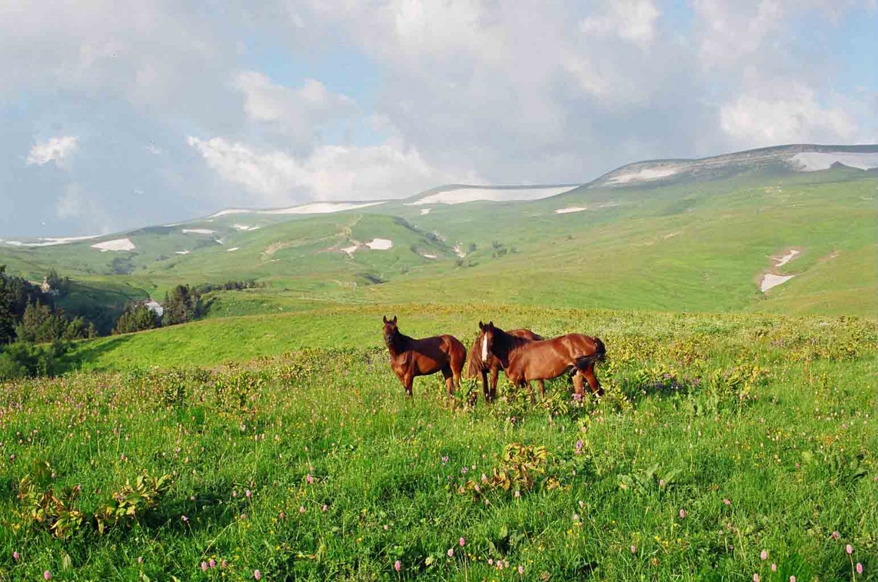 Адыгея башкортостан. Республика Адыгея (Адыгея). Адыгея Кубанские степи. Прикубанская низменност. Равнины Республики Адыгея.